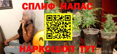 Альфа ПВП Уссурийск
